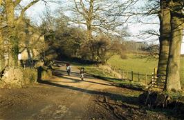 This photo may have been taken on this ride, or any evening ride this year or last, but without ID on the location it is hard to be sure. Do you recognise it? (Photo: Jean Brierly)