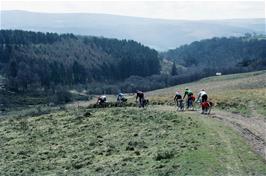 The track to Selworthy